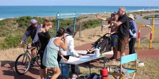 petition-pop-up-1000x500